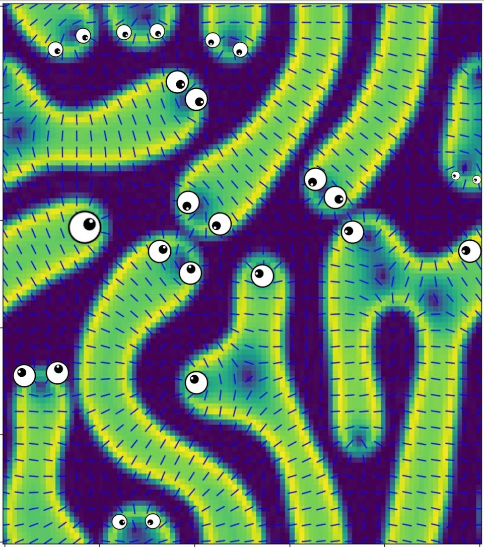 Image with green elongated objects with googly eyes on them.